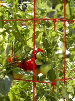 Tomato Cages, Set Of 4 -Garden Tools Shop 34182 592