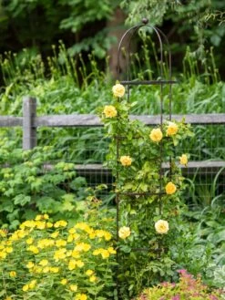 Jardin Round Obelisk, 7' -Garden Tools Shop 39 530 1668 tif