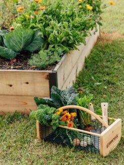 Garden Hods -Garden Tools Shop 39 761 572 tif