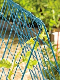 Deluxe Cucumber Trellis -Garden Tools Shop 39806 BLUE 100 tif