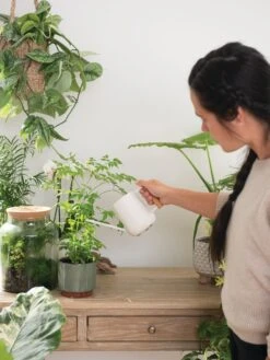 Pinpoint Indoor Watering Can -Garden Tools Shop 3 4 crop 8612963 3774