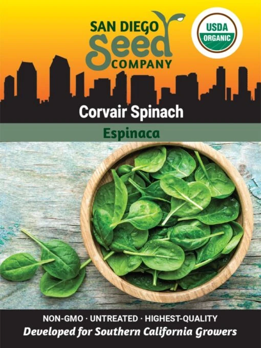 Corvair Spinach Organic Seeds 8 Corvair Spinach Organic Seeds -Garden Tools Shop 3 4 crop 8613868 06842 Spinach Corvair SDSC