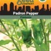 Pepper, Padron Organic Seeds
