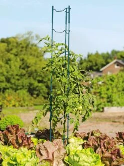 Stacking Tomato Ladders, Set Of 6 -Garden Tools Shop 40309 100 tif