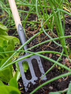 Gardener's Lifetime Spork -Garden Tools Shop 8586973 2383 tif