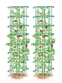 Tomato Towers, Set Of 2 7 Tomato Towers, Set Of 2 -Garden Tools Shop 8587041 0006 GRN tif