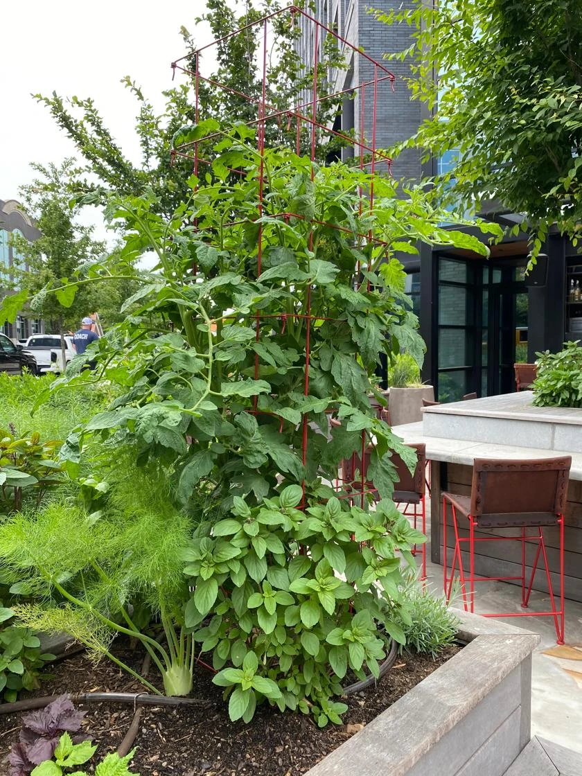 Tomato Towers, Set Of 2 3 Tomato Towers, Set Of 2 - Image 3