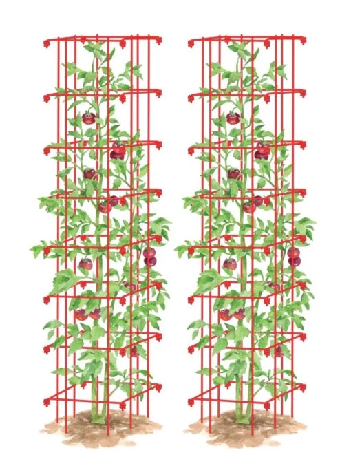 Tomato Towers, Set Of 2 6 Tomato Towers, Set Of 2 -Garden Tools Shop 8587041 TomatoTower tif
