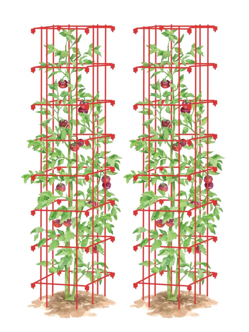 Tomato Towers, Set Of 2 1 Tomato Towers, Set Of 2