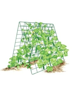 Deluxe Cucumber Trellis -Garden Tools Shop 8587083 001 GRN tif
