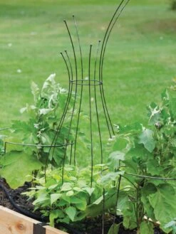 Jardin Pot Trellis -Garden Tools Shop 8587120 7037 tif