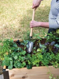 Gardener's Lifetime Raised Bed Trowel -Garden Tools Shop 8588014 4084 tif