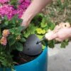 Gardener's Lifetime Potting Trowel