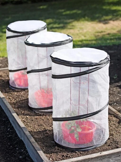 Tomato TLC Kits, Set Of 3 -Garden Tools Shop 8594214 0183 tif