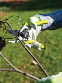 Gardener's Pro Pruner #2 -Garden Tools Shop 8596605 032 tif