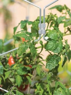 Gardener's Vertex Lifetime Tomato Cage -Garden Tools Shop 8598426 0011 tif