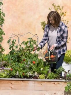 Gardener's Vertex Lifetime Tomato Cage -Garden Tools Shop 8598426 0026 tif