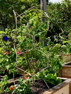 Gardener's Vertex Lifetime Pepper And Eggplant Cage -Garden Tools Shop 8599554 01CUST tif