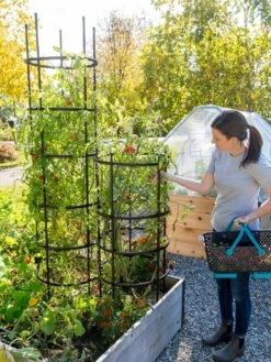 Titan Tomato Cages, Set Of 3 -Garden Tools Shop 8599861 0114 tif