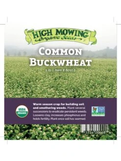 Common Buckwheat Organic Seeds -Garden Tools Shop 8599871 04v