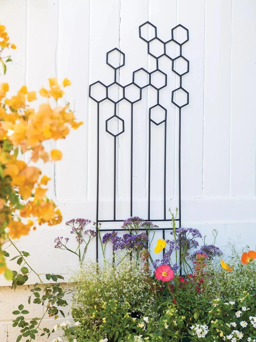 Honeycomb Trellis, Large 1 Honeycomb Trellis, Large
