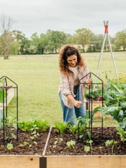 Zenith Folding Garden Supports, Set Of 2 -Garden Tools Shop 8600073 324 tif