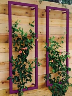 Ina Modern Wall Trellis Sr. -Garden Tools Shop 8600510 02V tif