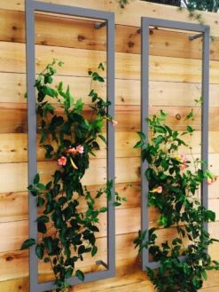 Ina Modern Wall Trellis Sr. -Garden Tools Shop 8600510 08V jpg