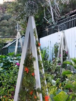 Akoris Garden Tuteur Jr. -Garden Tools Shop 8600517 07V tif