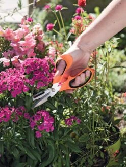 Gardener's Multi Purpose Scissors -Garden Tools Shop 8608655 19551 tif