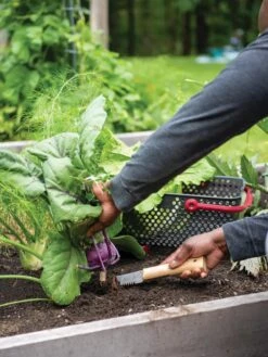 Gardener's Lifetime Hori Hori Knife 7 Gardener's Lifetime Hori Hori Knife -Garden Tools Shop 8608888 0422 tif