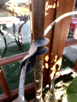 Garden Cane Connects, Set Of 6 -Garden Tools Shop 8609019 03V tif