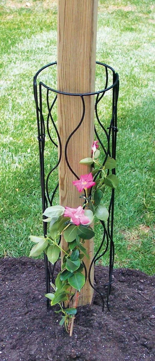 Bosmere Trellis For Mailbox Or Lamp Post -Garden Tools Shop 8609257 01V tif