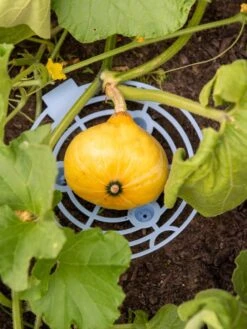 Garden Tools Shop 14 Melon And Squash Cradles, Set Of 6