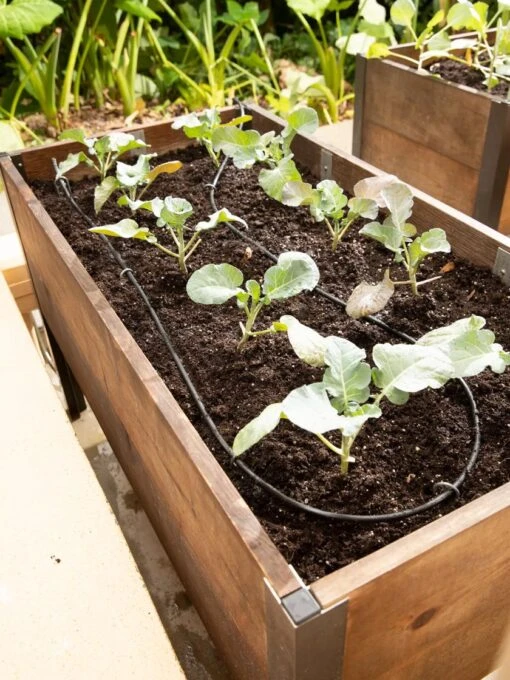 Raised Bed Drip Line Irrigation Kit -Garden Tools Shop 8610231 0667 tif