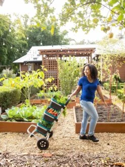 Mod Hod Trolley With Teal Mod Hods 7 Mod Hod Trolley With Teal Mod Hods -Garden Tools Shop 8610240 0070 tif