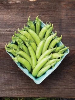 Family Garden Organic Seed Collection, Set Of 7 9 Family Garden Organic Seed Collection, Set Of 7 -Garden Tools Shop 8610262 cascadia peas 01V tif