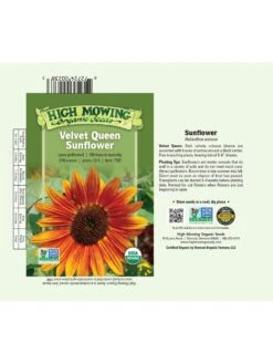 Velvet Queen Sunflower Organic Seeds -Garden Tools Shop 8610362 01v