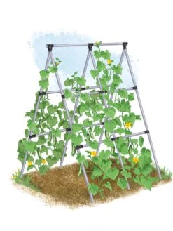 Garden Tools Shop -Garden Tools Shop 8610366 MP A Frame tif