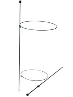 Peacock Classic Plant Support Rings 15", Set Of 2 10 Peacock Classic Plant Support Rings 15", Set Of 2 -Garden Tools Shop 8610384 9562 tif