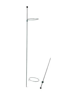 Peacock Mini Plant Support Rings 4", Set Of 2 -Garden Tools Shop 8610386 9566