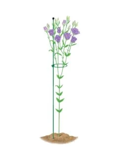 Peacock Mini Plant Support Rings 4", Set Of 2 -Garden Tools Shop 8610386 peacock4x36