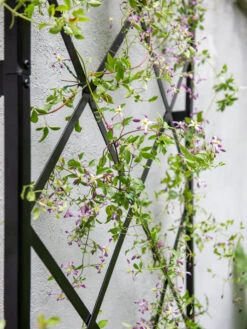 Lattice Gable Wall Trellis -Garden Tools Shop 8611130 011