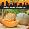 Hales Best Cantaloupe Organic Seeds