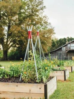 DIY Connector For Teepee Trellis -Garden Tools Shop 8611896 71 tif