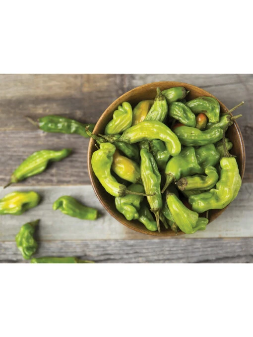 Shishito Pepper Organic Seeds -Garden Tools Shop 8611910 01v