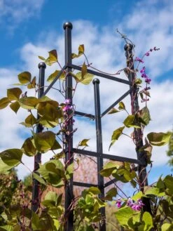 Essex Square Obelisk -Garden Tools Shop 8611984 354 tif