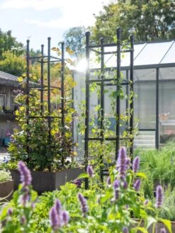 Garden Tools Shop -Garden Tools Shop 8612046 346 tif