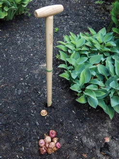 Wicked Big Dibber -Garden Tools Shop 8612667 0028