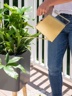 Precision Brass Watering Can -Garden Tools Shop 8612691 0011